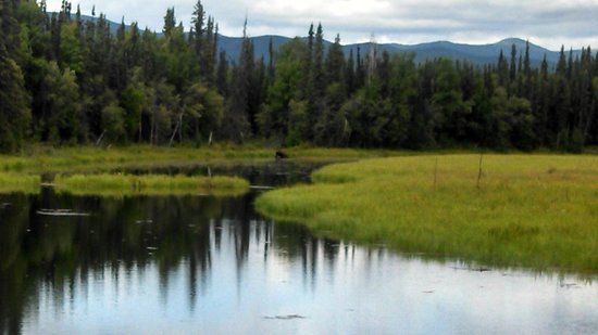 Chena River State Recreation Area